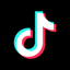 TikTok Pioneer
